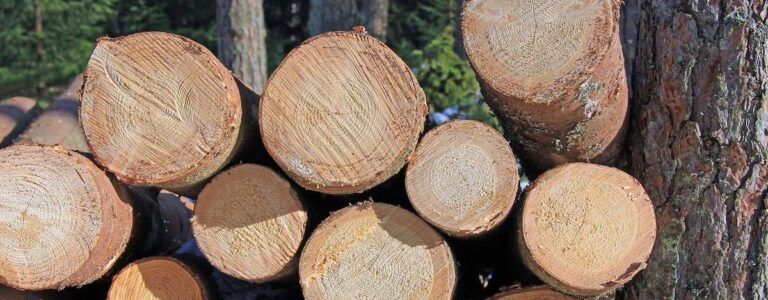 Combustion du bois énergie de chauffage Processus et conseils