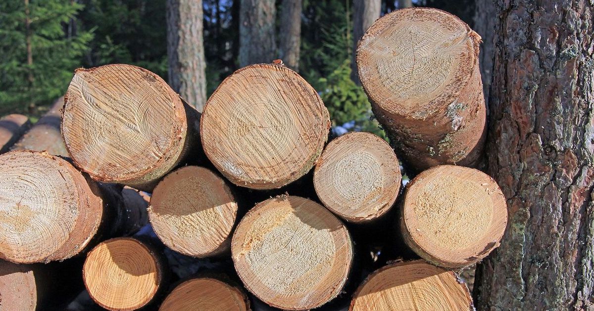 Mesurer le bois de chauffage en vrac
